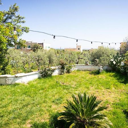 Green House Bed & Breakfast Monopoli Luaran gambar